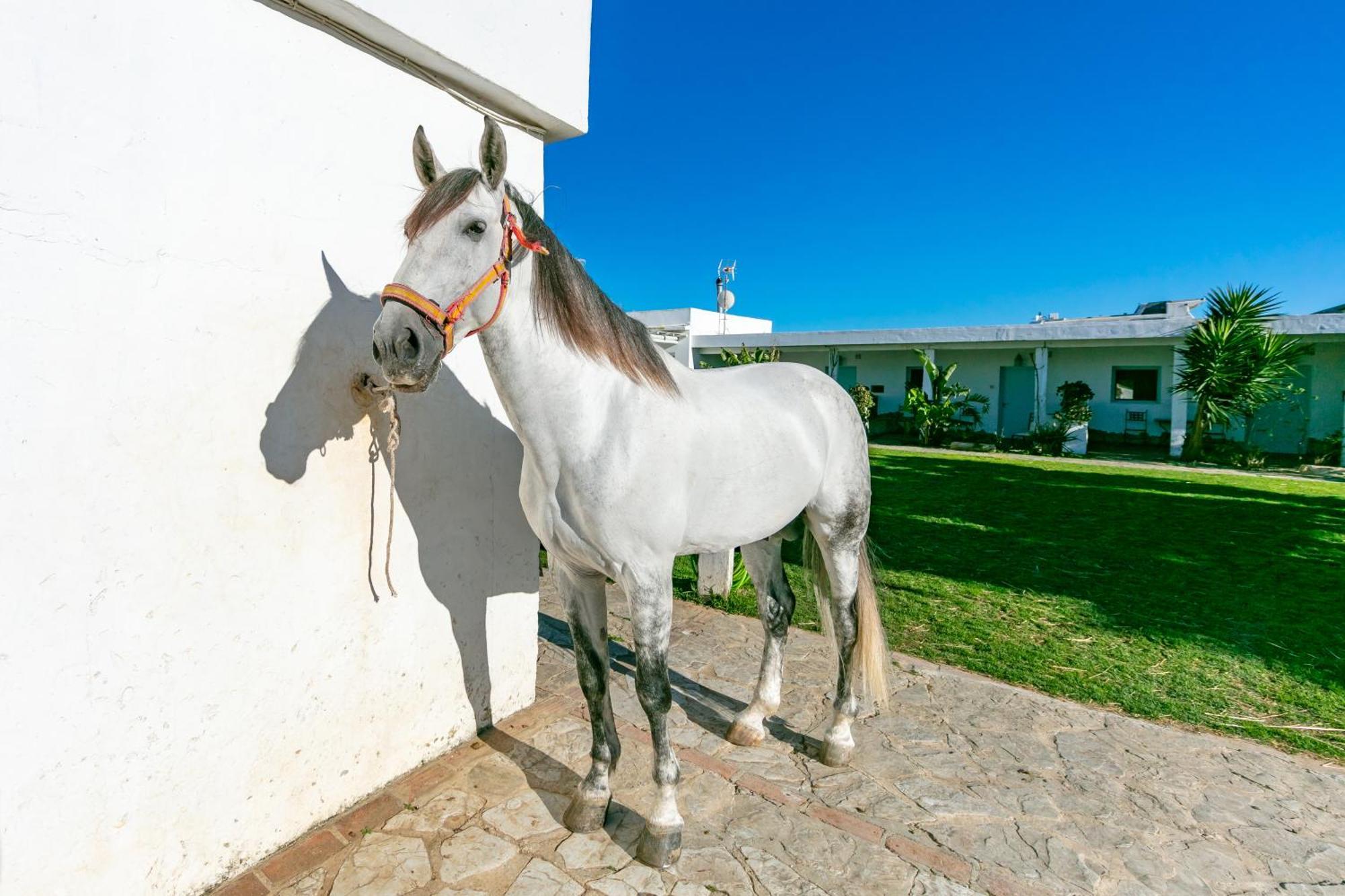 Casa Rural Con Terraza Privada III Appartement Tarifa Buitenkant foto